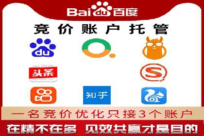 推广竞价策略解析：成功案例分享